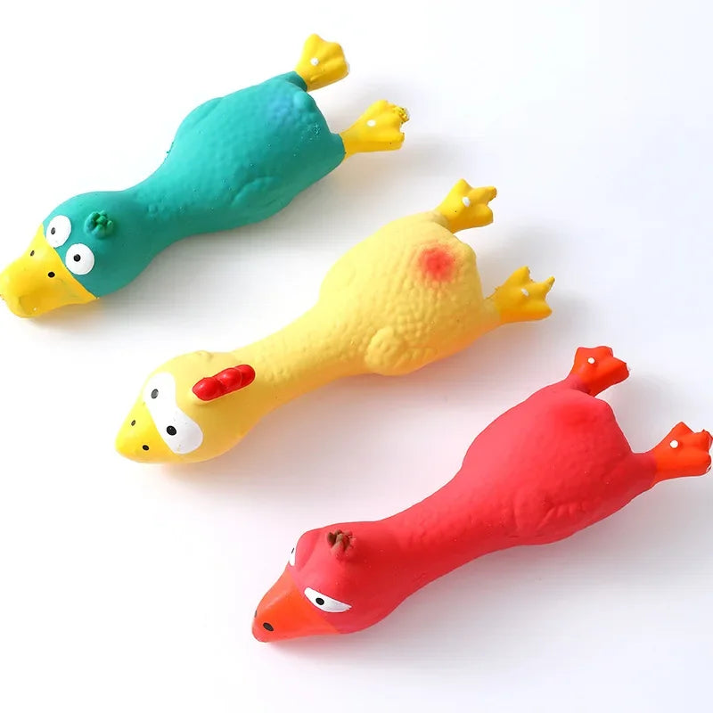 Squeaking Dog Toy, Cat, Puppy, Kitten, Latex Chicken Shape