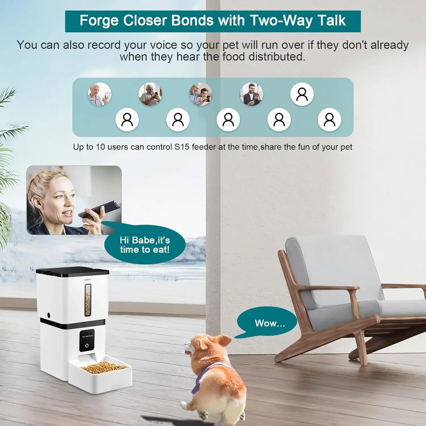 Automatic Dog/Cat Feeder with Camera: 5G WiFi Easy Setup 8L Motion Detection, Smart Cat/Dog Food Dispenser, Authenticity guarantee