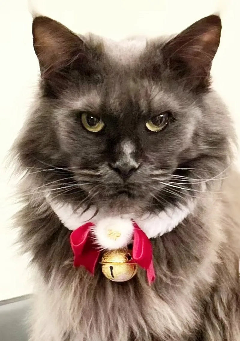 Christmas Theme Cat/Dog Collar, Scarf Bow Bell, Easy To Clean, Collar Warm, Cat And Dog Christmas Jewelry Accessory