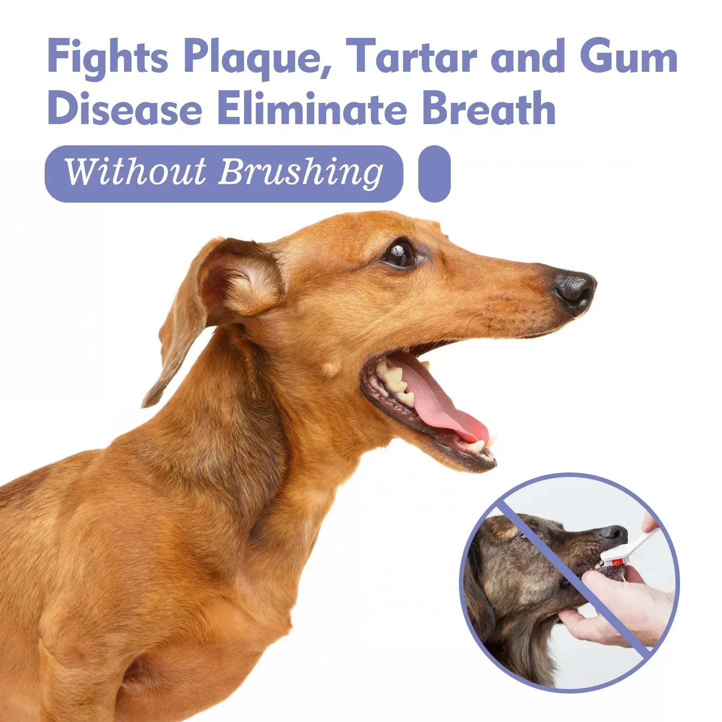 Pet Tooth Cleaning Spray, Dogs Remove Bad Breath, Cats Fresh Oral Cleaning, Dental Care, Deodorization Spray, Pet Supplies 30ml