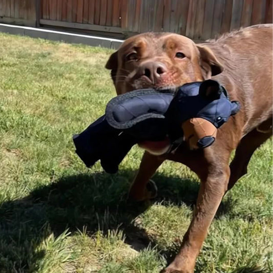 Squeaky Plush Bear Toy for Dog ,Unbreakable Teddy, Extreme Bear Dog Toys, Puppy Biting Toys, Plush Cute Bear, Chew Squeaky Dog Toys