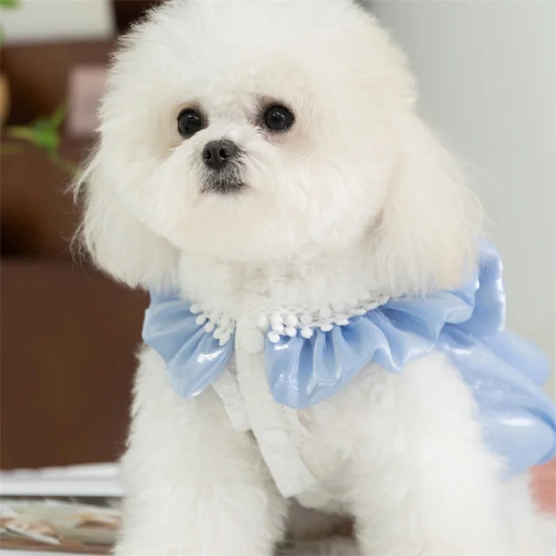Adorable Small Dog Tutu Dress with Bowknot Lace, Princess Puppy Clothes, Outfit Apparel Female, Cute Cat or Dog Skirt, Patchwork Pet Dress