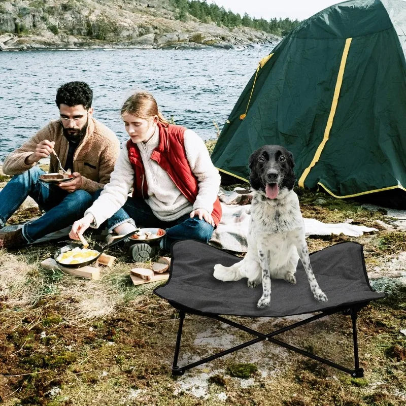 Elevated Dog Bed, Portable Raised Pet Cot, Indoor Folding Dog Bed, Padded Filling, Carrying Bag Included, Pet Camping Traveling