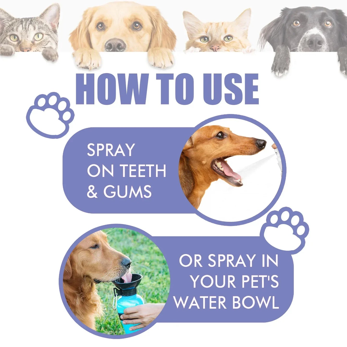 Pet Tooth Cleaning Spray, Dogs Remove Bad Breath, Cats Fresh Oral Cleaning, Dental Care, Deodorization Spray, Pet Supplies 30ml