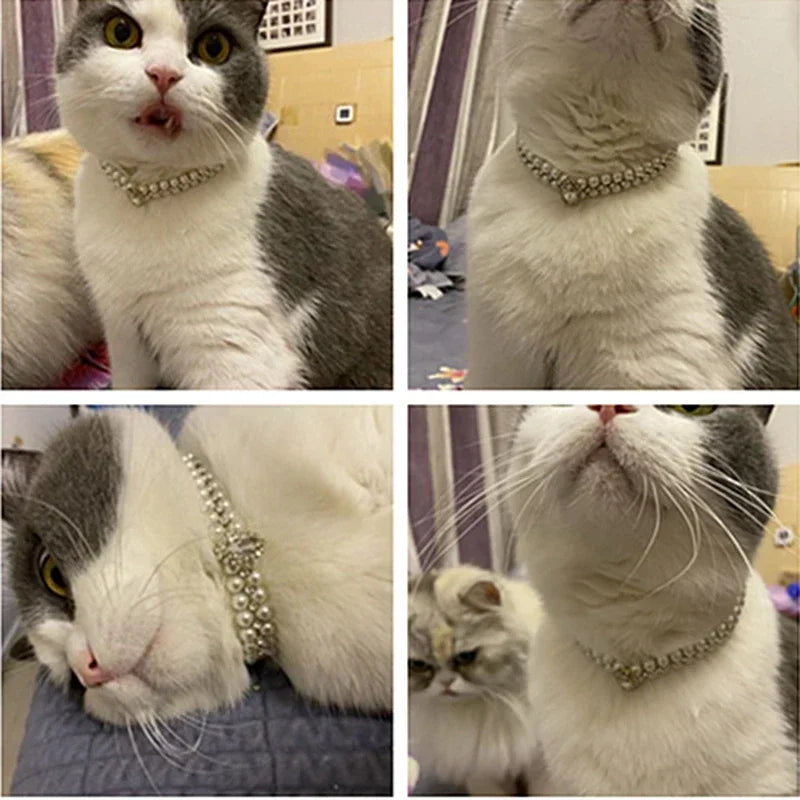 Luxury Puppy Kitten, Pearl Rhinestone Necklace, Collar for Cats, Small Dogs, Pretty Pet Accessories
