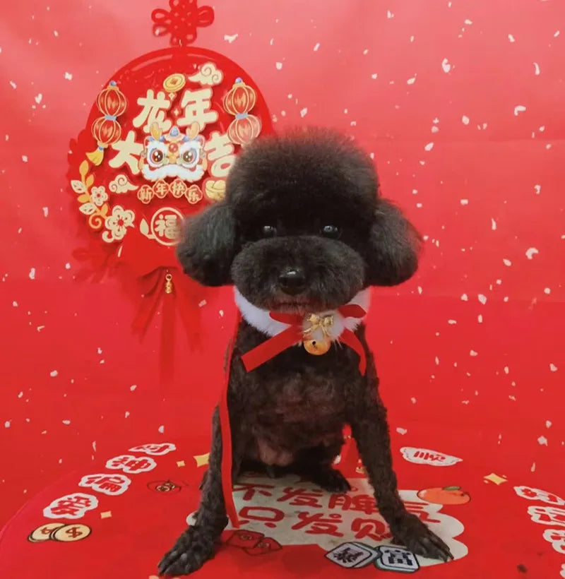 Christmas Theme Cat/Dog Collar, Scarf Bow Bell, Easy To Clean, Collar Warm, Cat And Dog Christmas Jewelry Accessory
