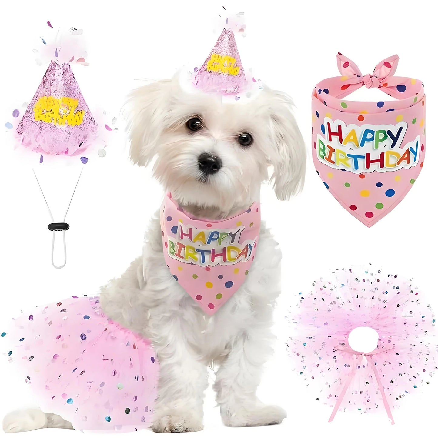 Cute Dog Birthday Costume Set, Adorable Party Hat, Matching Skirt and Scarf, Indoor and Outdoor Pet Celebrations