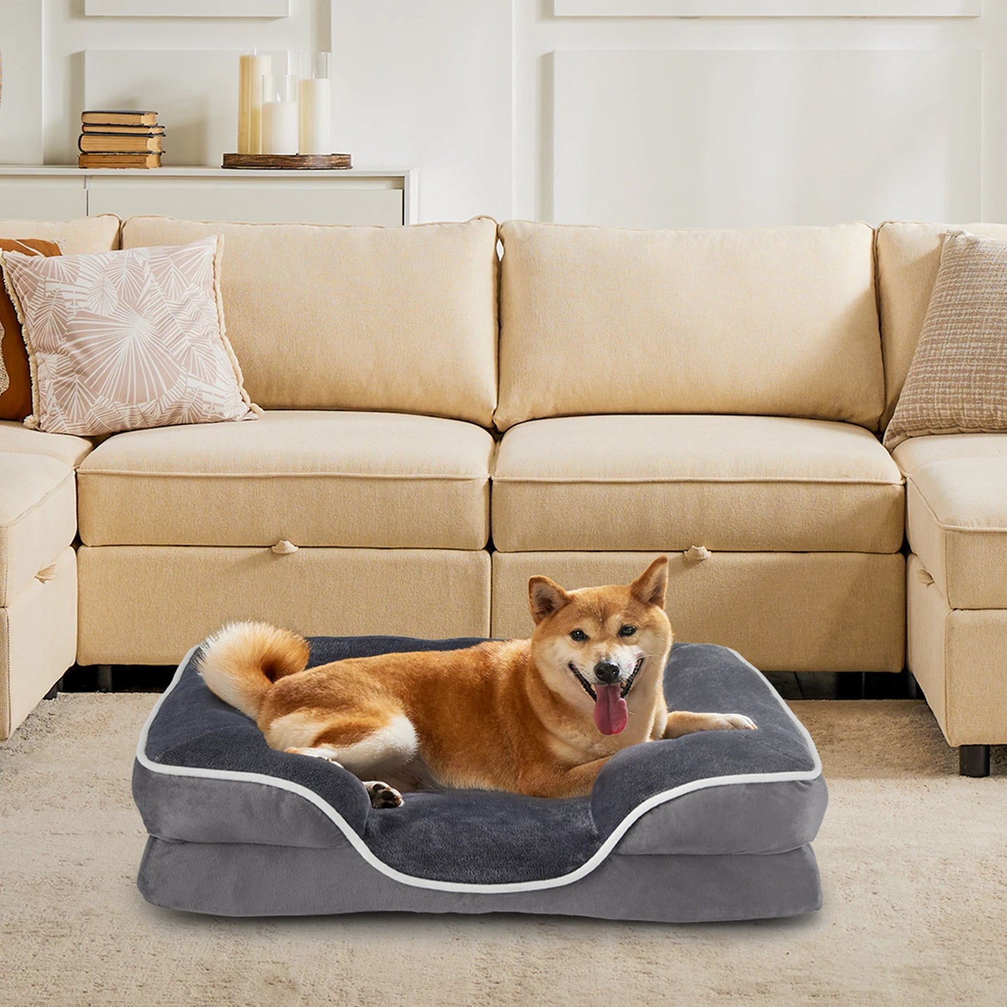 Orthopedic Dog Bed, Memory Foam, Pet Bed for Small Dogs & Cats, Washable Removable Cover, Non-Slip Base, Waterproof Liner