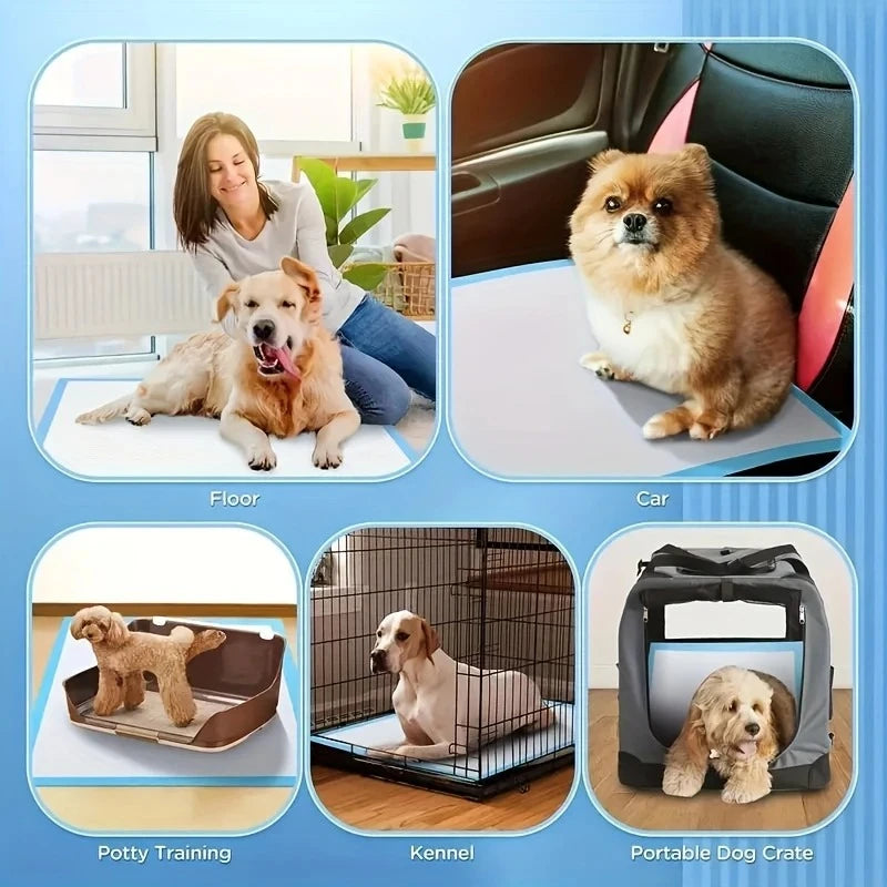 100/50/40PCS Dog Pee Pads, Leak-Proof Quick-Dry Design, for Potty Training, Absorbent Puppy Diapers, Disposable Dogs Supplies