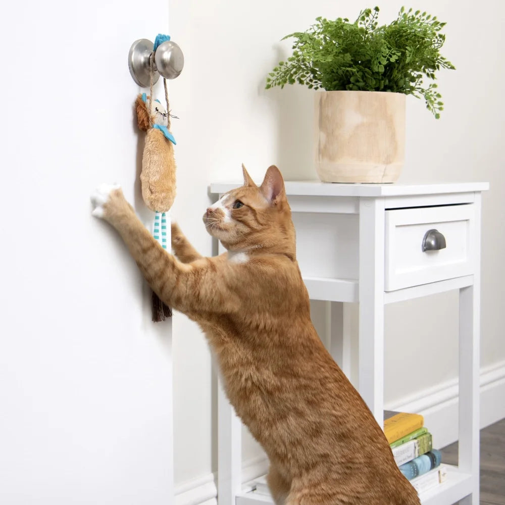 Interactive Cat Toy, Breakaway Door Hanging, Kicker Crinkle Lion with Catnip, Playful Cats, Easy Attach Detach