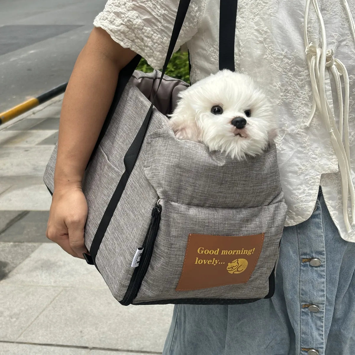 Dog Car Seat for Small Dog, Center Console Seat, Pet Booster Seat for Car, Puppy, Portable Dog/Cat Carrier, for Cats and Dogs, Safety Travel Bag