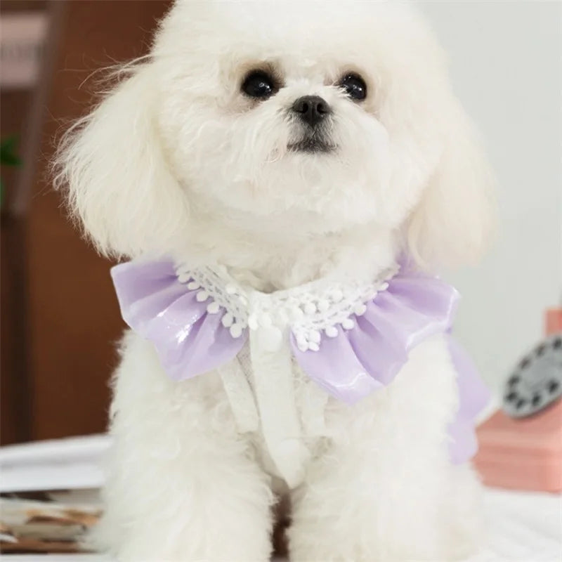 Adorable Small Dog Tutu Dress with Bowknot Lace, Princess Puppy Clothes, Outfit Apparel Female, Cute Cat or Dog Skirt, Patchwork Pet Dress