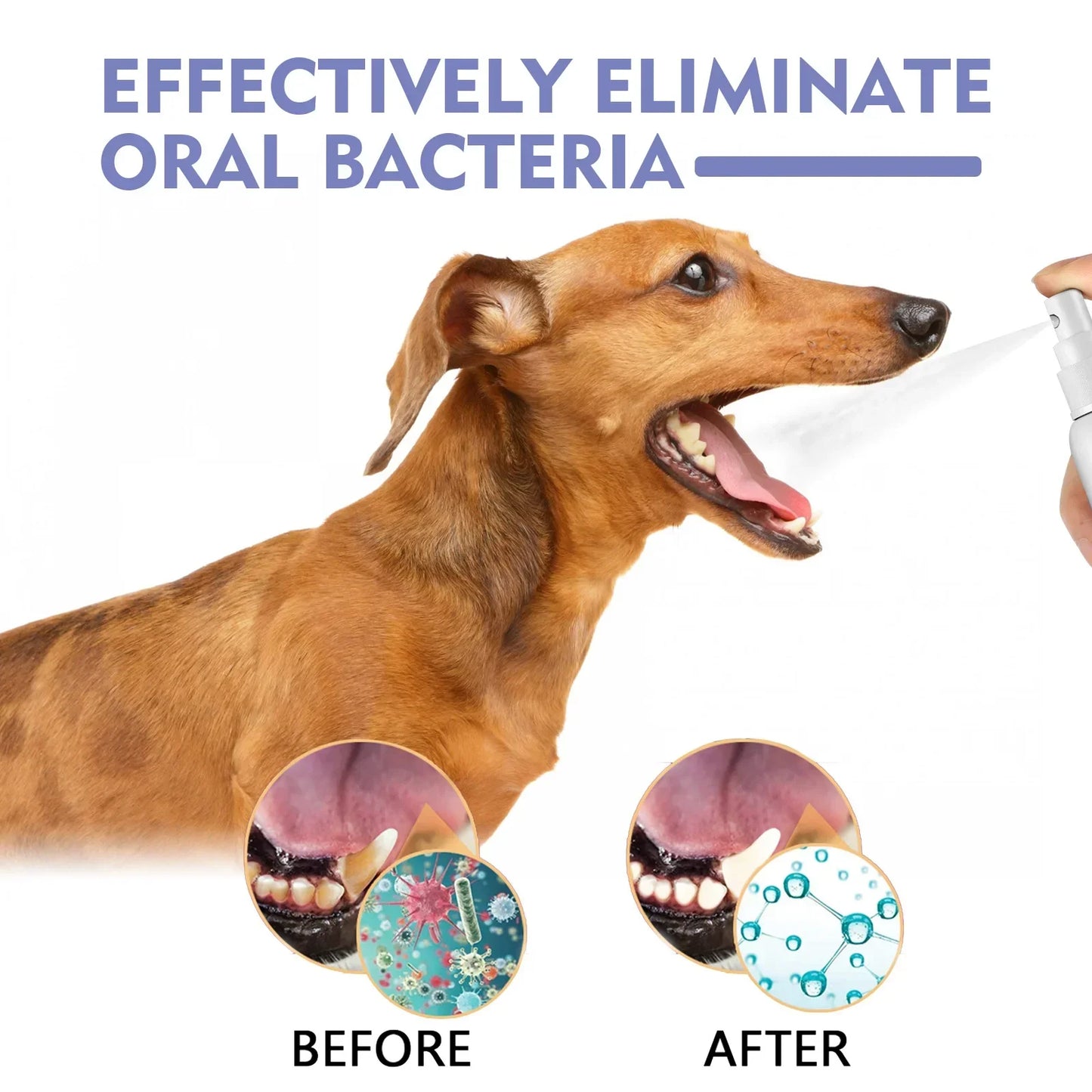 Pet Tooth Cleaning Spray, Dogs Remove Bad Breath, Cats Fresh Oral Cleaning, Dental Care, Deodorization Spray, Pet Supplies 30ml
