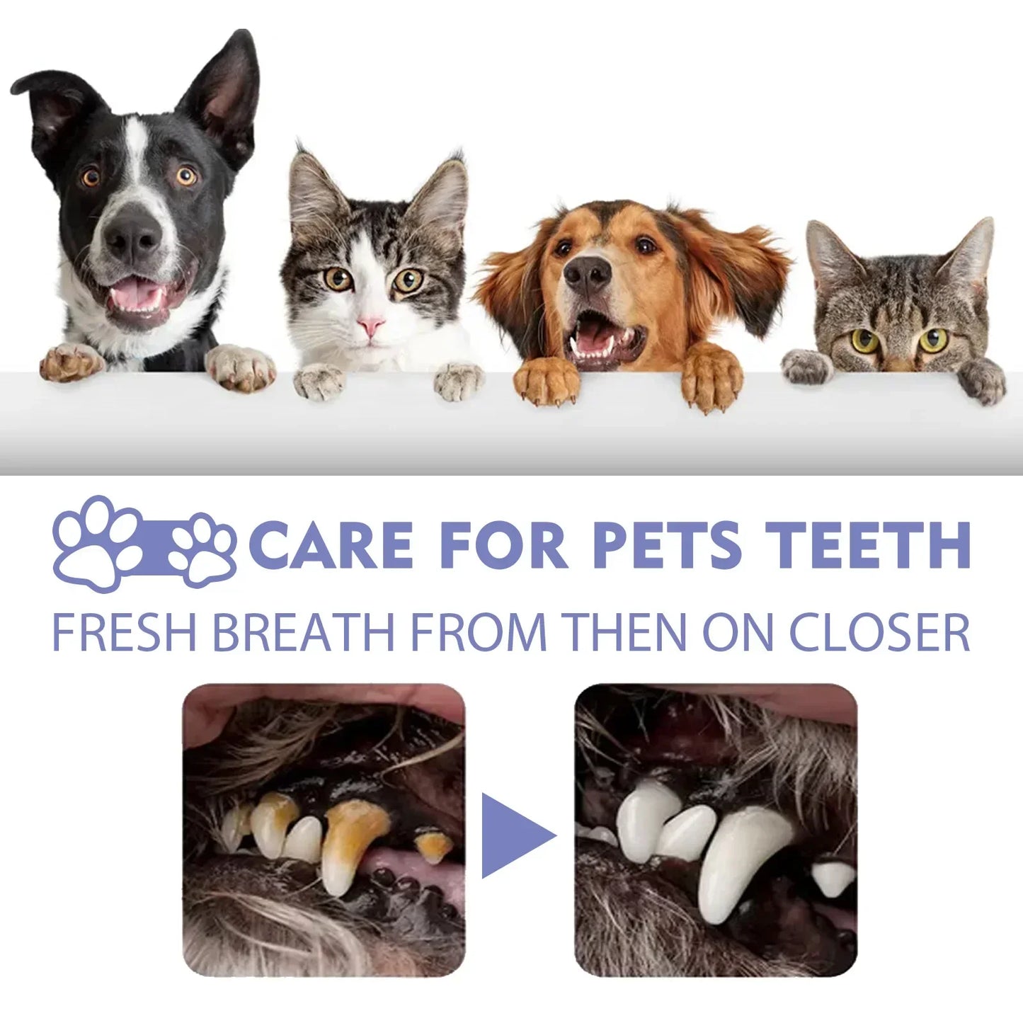 Pet Tooth Cleaning Spray, Dogs Remove Bad Breath, Cats Fresh Oral Cleaning, Dental Care, Deodorization Spray, Pet Supplies 30ml