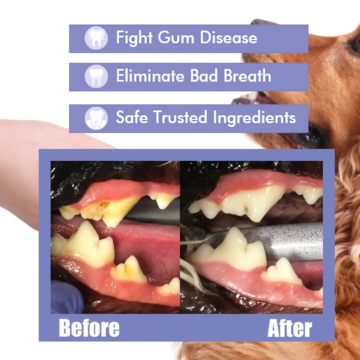 Pet Tooth Cleaning Spray, Dogs Remove Bad Breath, Cats Fresh Oral Cleaning, Dental Care, Deodorization Spray, Pet Supplies 30ml