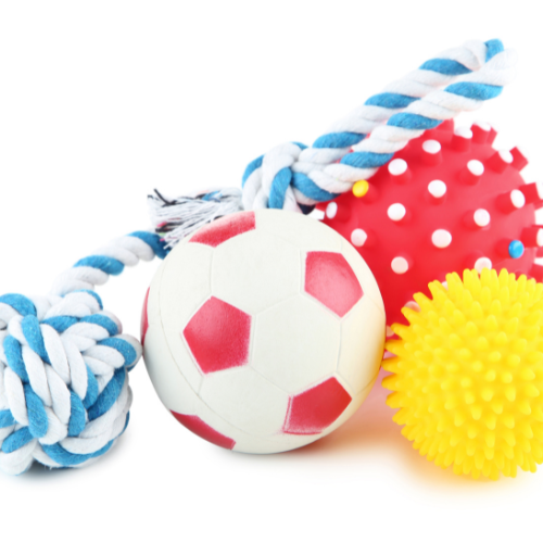 Dog Toys