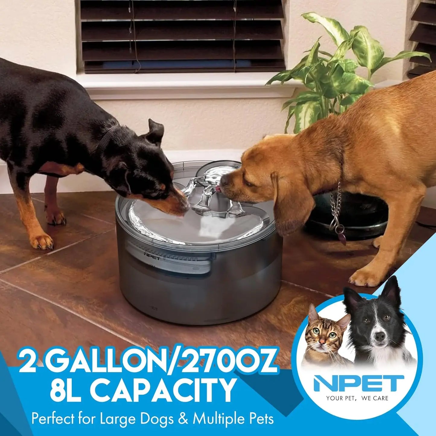 Large Dog Automatic Water Fountain, 2 Gallon/270oz/8L, Splatter Guard for Large Dogs