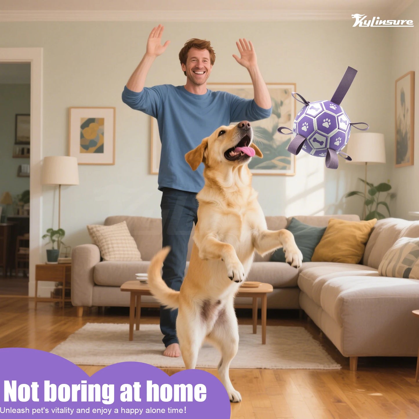 Dog Toys, Soccer Ball with Straps, Interactive Dog Toys, Tug of War, Puppy Birthday Gifts, Water Toy, Durable Dogs Balls