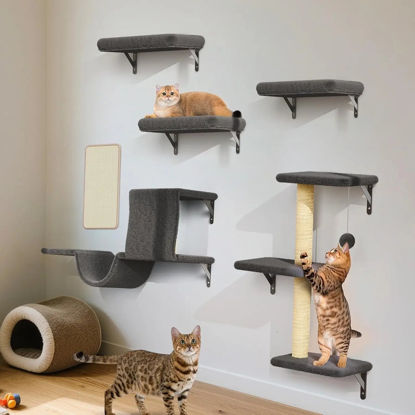 Cat Wall Shelves, Stable & Safe , 6 in 1 Wooden Cat Climber Walls