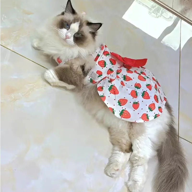 Fashion Cat Dresses With Bow, Cats & Small Dogs, Sphynx, Chihuahua, Fruit Flower Print Pet Clothes