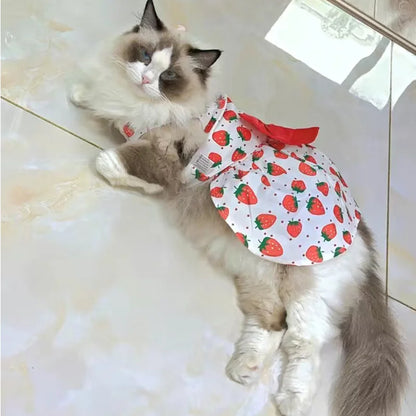 Fashion Cat Dresses With Bow, Cats & Small Dogs, Sphynx, Chihuahua, Fruit Flower Print Pet Clothes