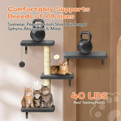 Cat Wall Shelves, Stable & Safe , 6 in 1 Wooden Cat Climber Walls