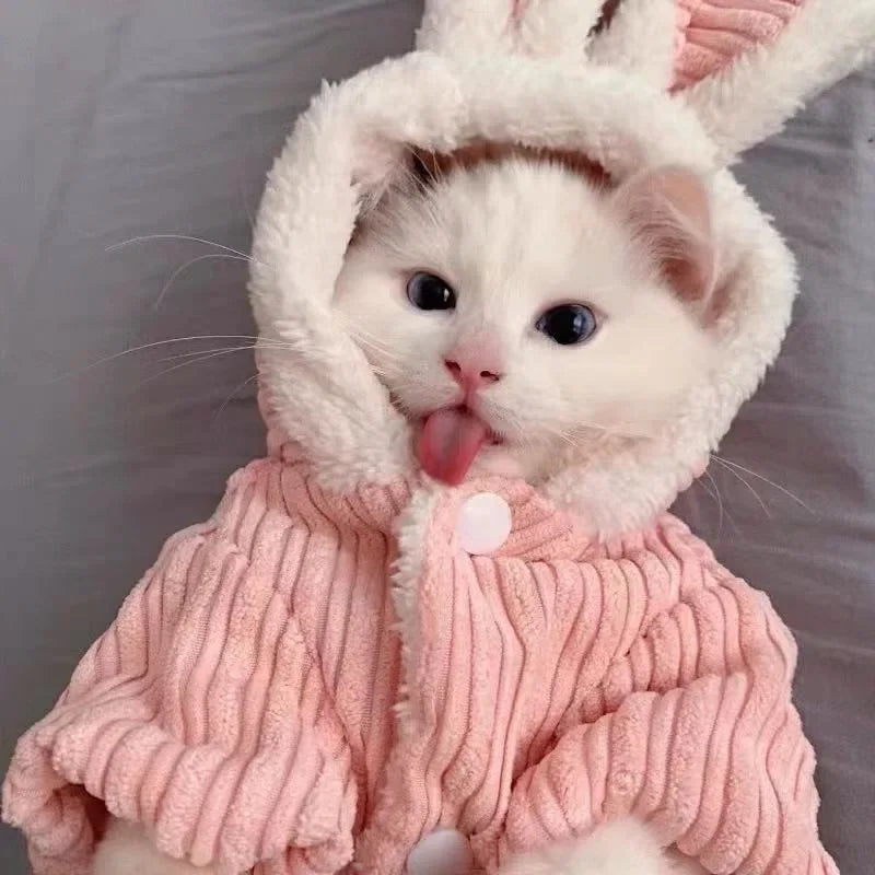 Warm Winter Kitten Clothes, Cute Bunny Coat, Puppy-Dog-Kitten-Cat Clothes, Dog-Cat Supplies, Pet Products Home Garden