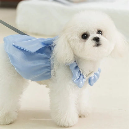 Adorable Small Dog Tutu Dress with Bowknot Lace, Princess Puppy Clothes, Outfit Apparel Female, Cute Cat or Dog Skirt, Patchwork Pet Dress