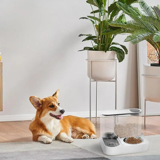 2 In 1 Automatic Cat/Dog Feeder, Automatic 2-in-1 Dry Food & Water/Storage Dispenser, Cat & Dog Supplies, Feeding/Watering