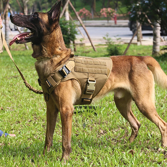Large Dog Harness And Leash Set, Pet German Shepherd Malinois, Training Walking Vest, Dog Harness And Collar For Medium Large Dogs