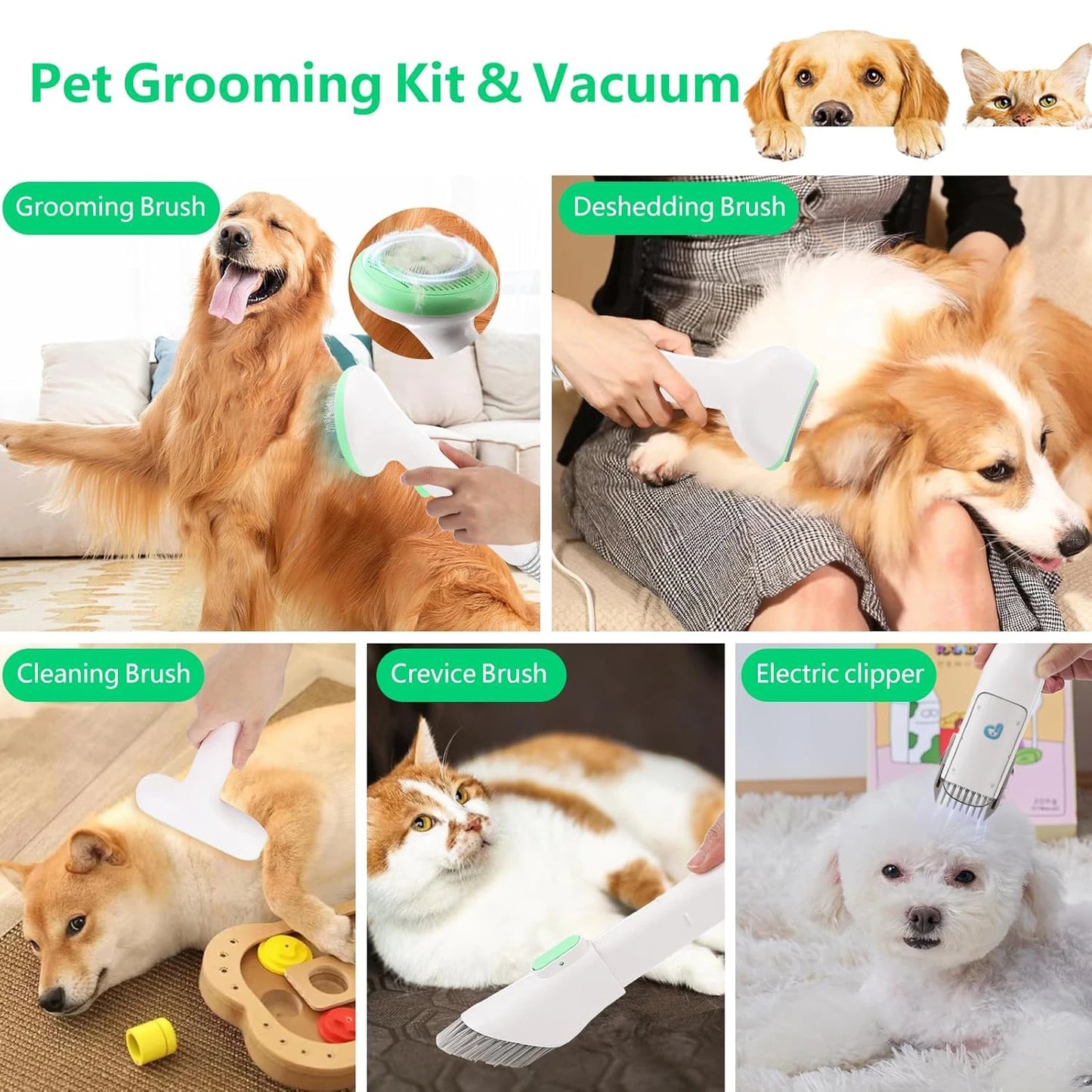 Deluxe Pet Grooming Kit, 2L Vacuum Suction 99% Pet Hair, Professional Quiet Dog Grooming, Vacuum Kit with 5 Grooming Tools