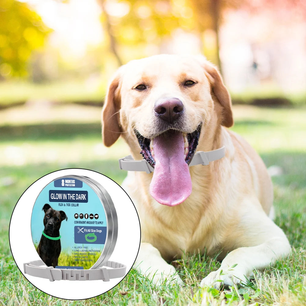 1-3 Pcs Dog Calming Pheromone Collars, Cats Relieve Anxiety, Adjustable Comfortable Collar, For Puppy Kitten Large Dog, Accessories