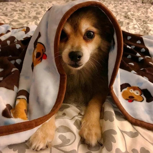 Soft Cozy Pet Blanket, Machine Washable Durable, Fleece Cover, Dogs Cats, Large Size 48x30, Extra Comfort, Protection Furniture, Travel