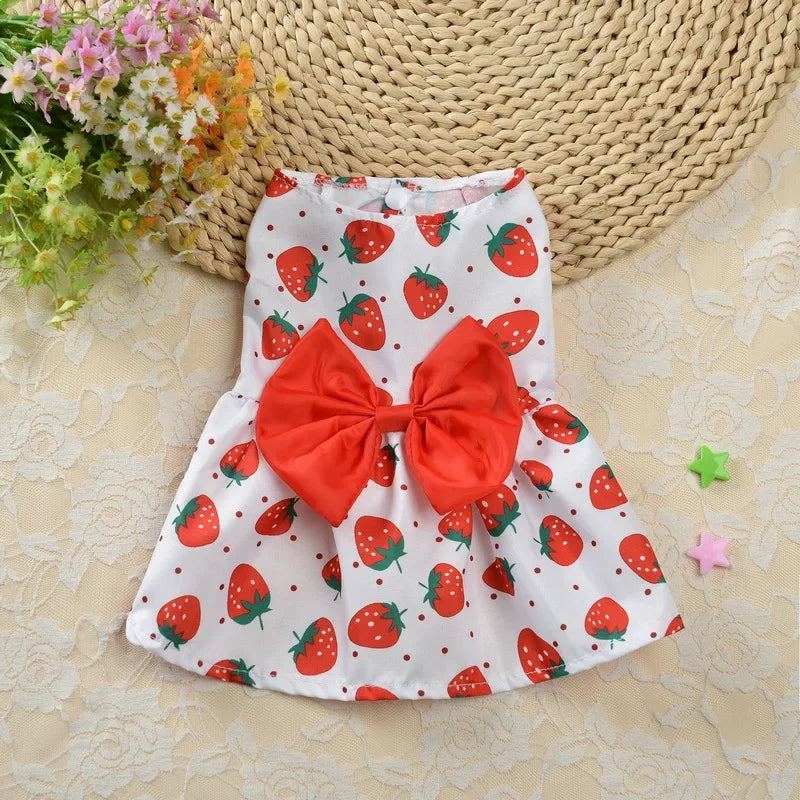 Fashion Cat Dresses With Bow, Cats & Small Dogs, Sphynx, Chihuahua, Fruit Flower Print Pet Clothes