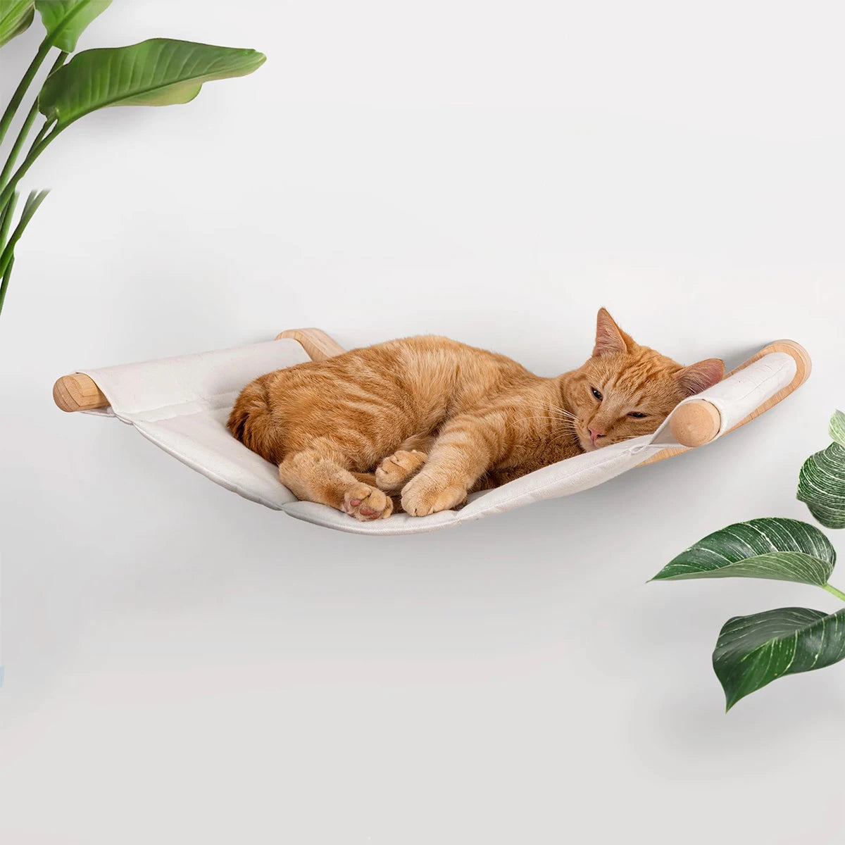 Cat Wall Furniture, Climbing Shelf, Wall Mounted Steps Stairway, With Sisal Rope Scratching, Grinding Claws for Most Kittens & Cats