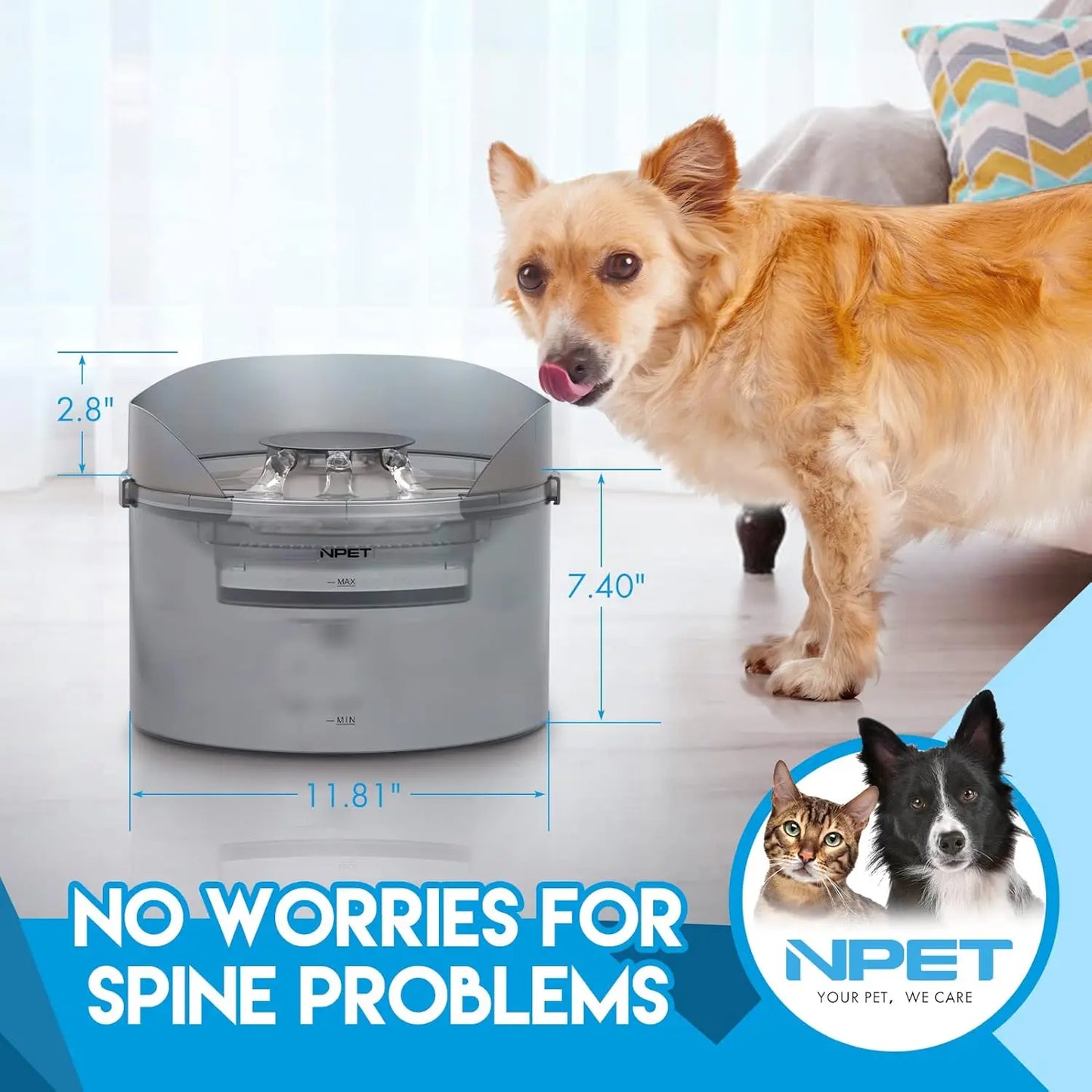 Large Dog Automatic Water Fountain, 2 Gallon/270oz/8L, Splatter Guard for Large Dogs