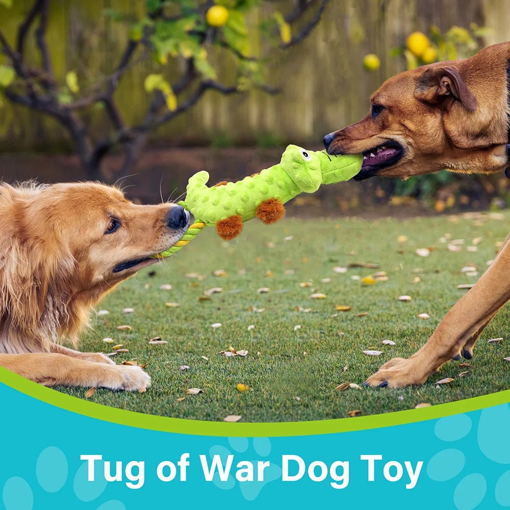 Pet Dog Squeaky Toy, 2 Pack, Tug of War Dog Toys, Dogs Interactive, Plush Puppy Chew Toy, Plush Sound Squeak Toys, Pet Supplies