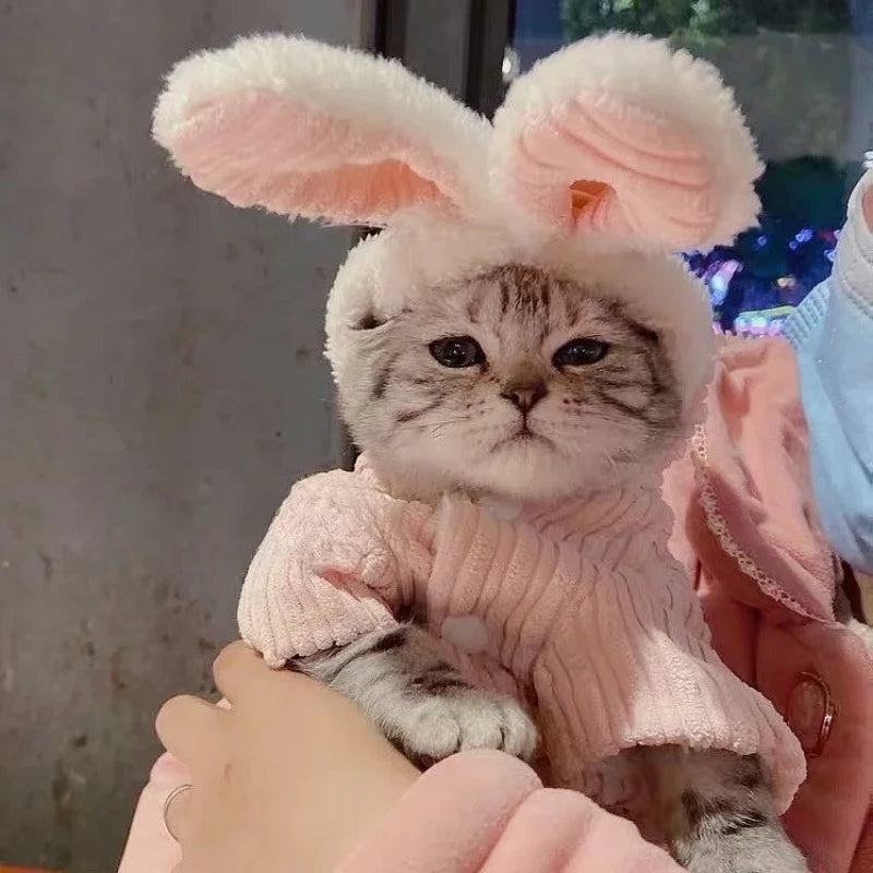 Warm Winter Kitten Clothes, Cute Bunny Coat, Puppy-Dog-Kitten-Cat Clothes, Dog-Cat Supplies, Pet Products Home Garden
