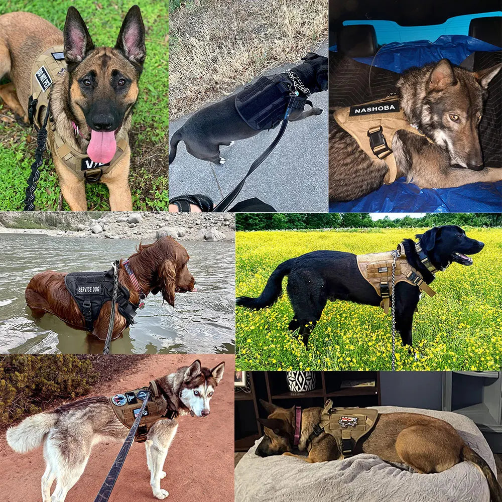 Large Dog Harness And Leash Set, Pet German Shepherd Malinois, Training Walking Vest, Dog Harness And Collar For Medium Large Dogs