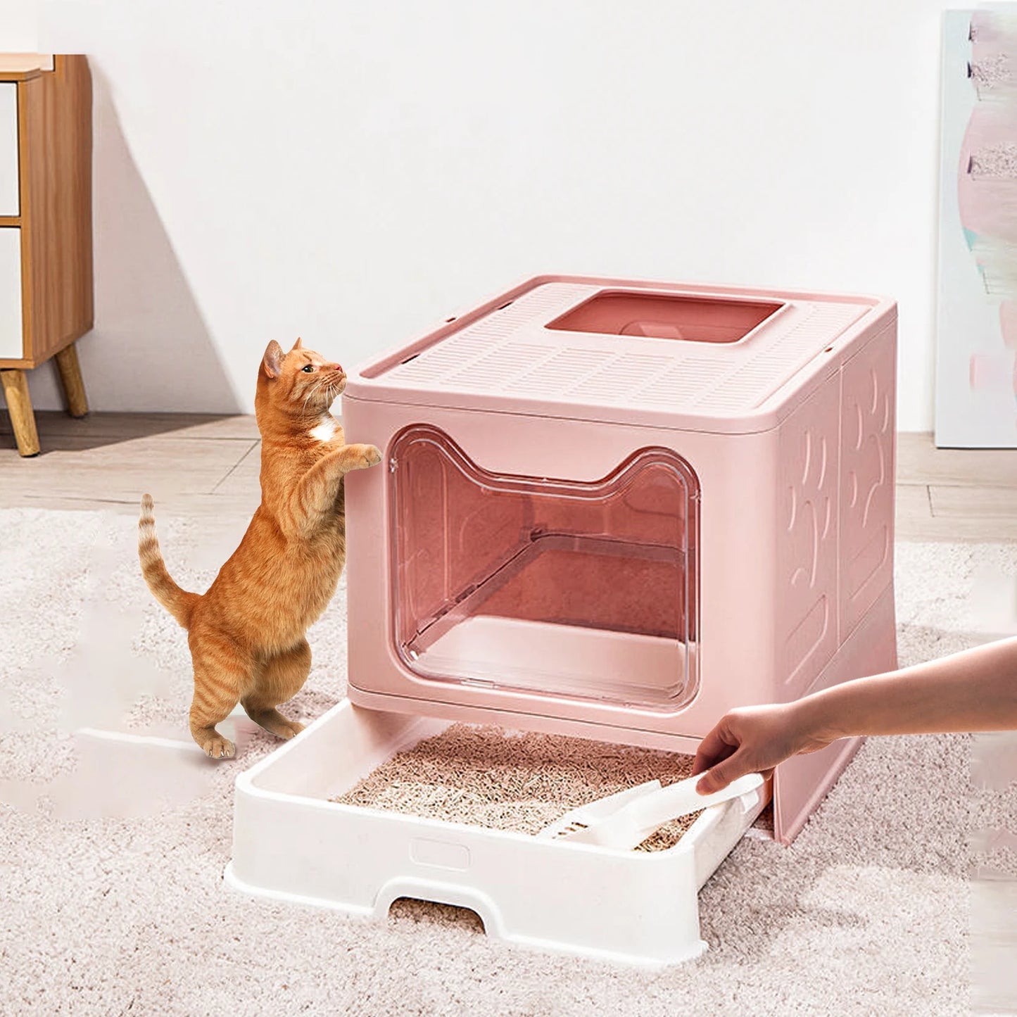 Modern Tidy Cat Litter Box, Flexible Cat House Furniture, Cat Potty with Portable Scoop Drawer