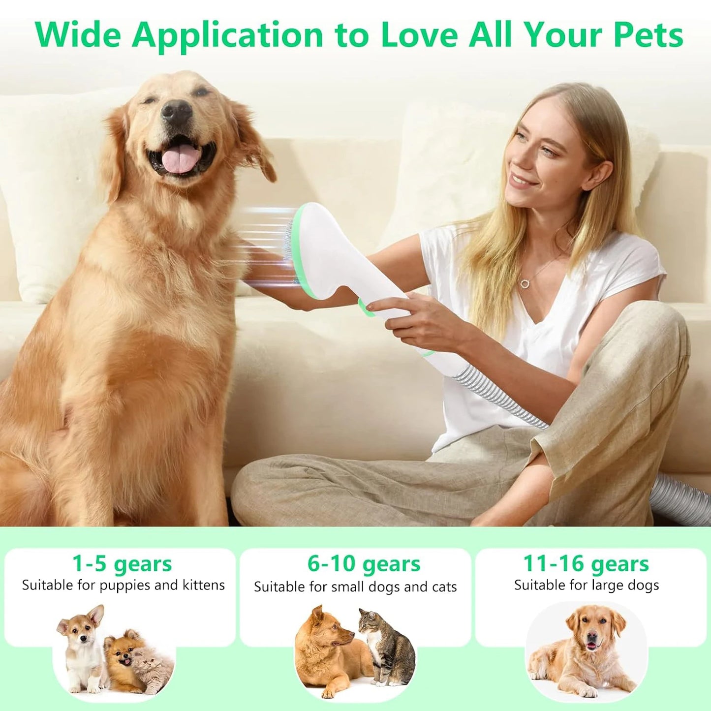 Deluxe Pet Grooming Kit, 2L Vacuum Suction 99% Pet Hair, Professional Quiet Dog Grooming, Vacuum Kit with 5 Grooming Tools